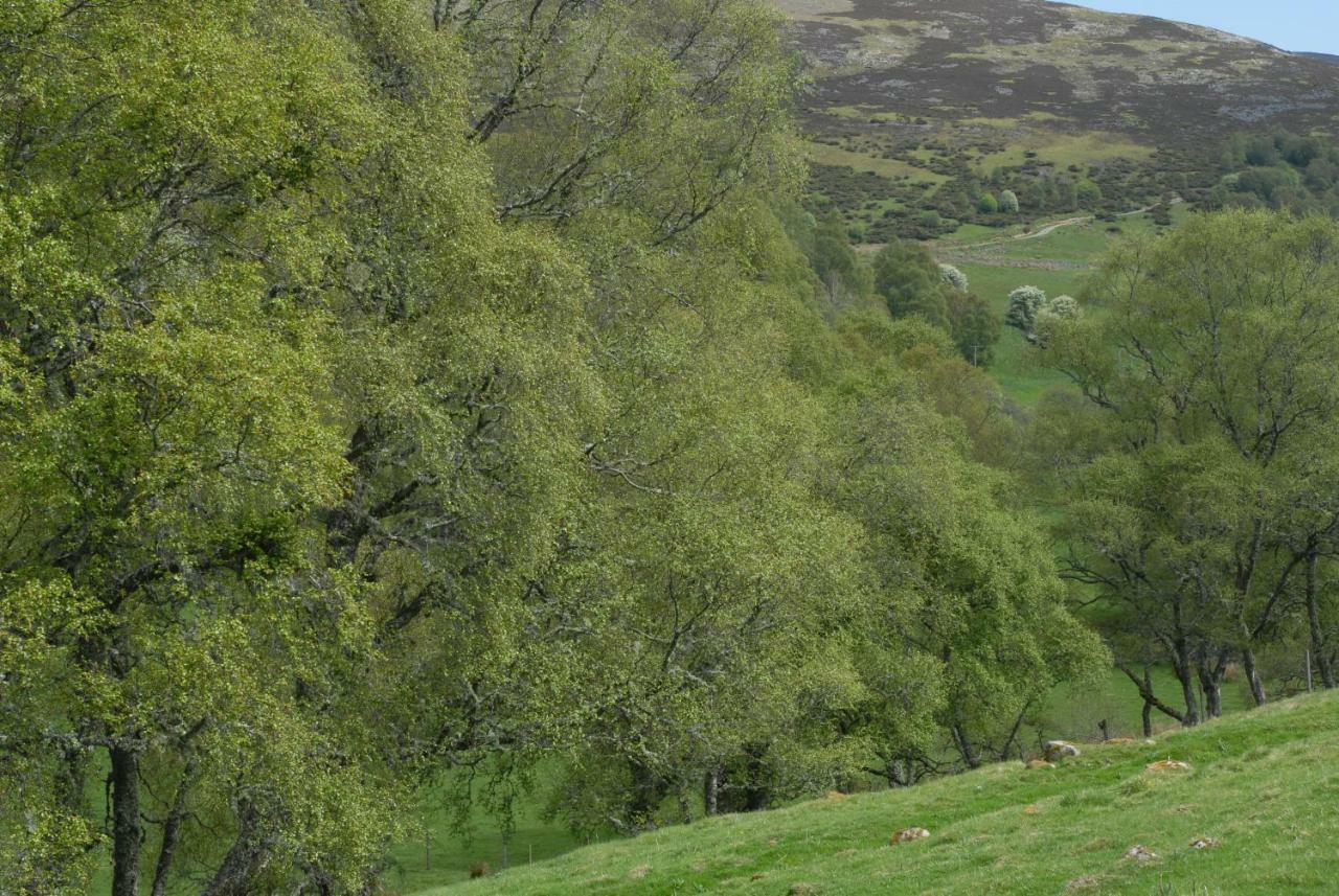 Howe Of Torbeg Балатър Екстериор снимка